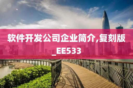 软件开发公司企业简介,复刻版_EE533