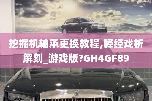 挖掘机轴承更换教程,释经戏析解刻_游戏版?GH4GF89