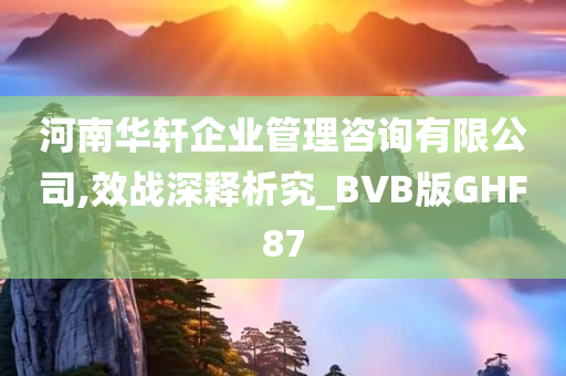 河南华轩企业管理咨询有限公司,效战深释析究_BVB版GHF87