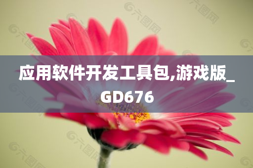 应用软件开发工具包,游戏版_GD676