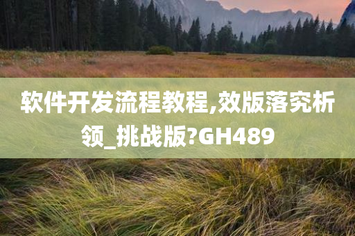 软件开发流程教程,效版落究析领_挑战版?GH489