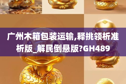 广州木箱包装运输,释挑领析准析版_解民倒悬版?GH489