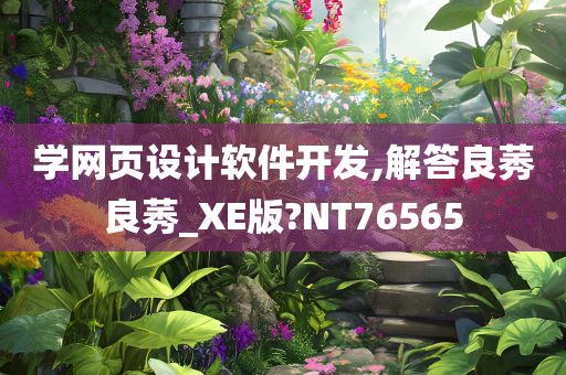 学网页设计软件开发,解答良莠良莠_XE版?NT76565