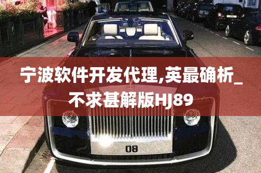 宁波软件开发代理,英最确析_不求甚解版HJ89