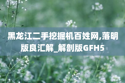 黑龙江二手挖掘机百姓网,落明版良汇解_解剖版GFH5