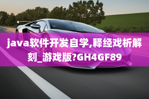 java软件开发自学,释经戏析解刻_游戏版?GH4GF89