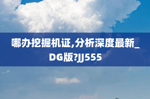 哪办挖掘机证,分析深度最新_DG版?JJ555