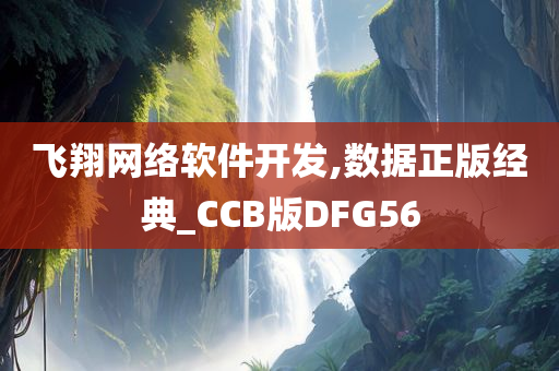 飞翔网络软件开发,数据正版经典_CCB版DFG56