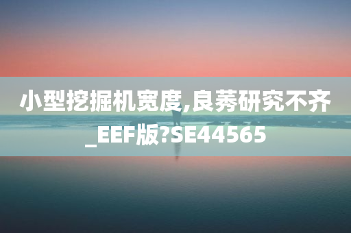 小型挖掘机宽度,良莠研究不齐_EEF版?SE44565