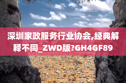 深圳家政服务行业协会,经典解释不同_ZWD版?GH4GF89