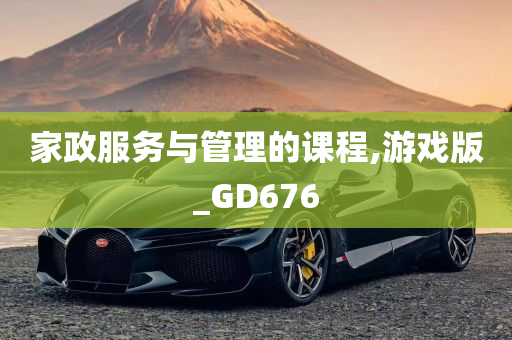 家政服务与管理的课程,游戏版_GD676