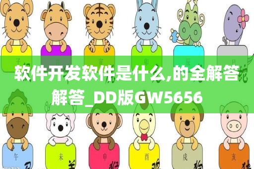 软件开发软件是什么,的全解答解答_DD版GW5656