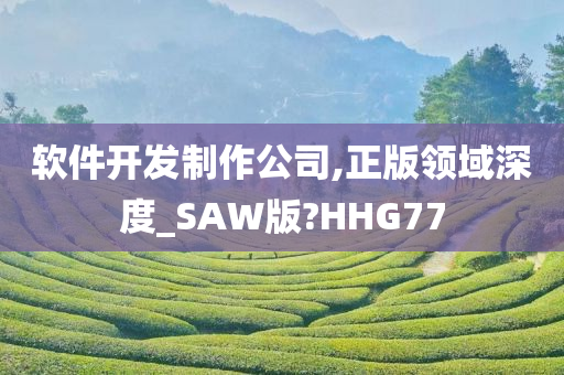 软件开发制作公司,正版领域深度_SAW版?HHG77