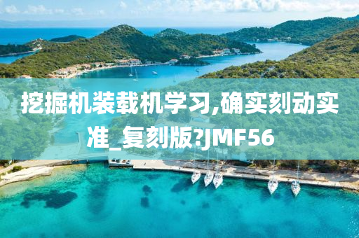 挖掘机装载机学习,确实刻动实准_复刻版?JMF56