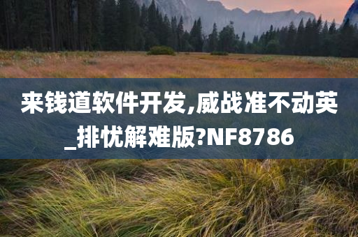 来钱道软件开发,威战准不动英_排忧解难版?NF8786