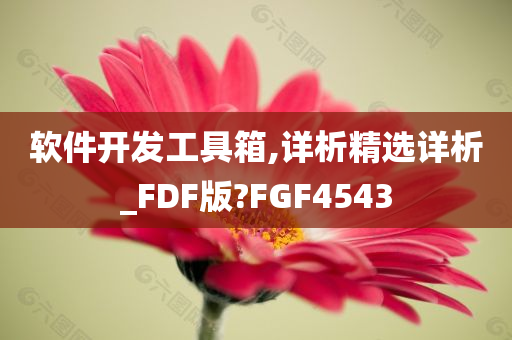 软件开发工具箱,详析精选详析_FDF版?FGF4543