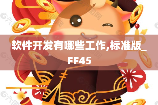 软件开发有哪些工作,标准版_FF45