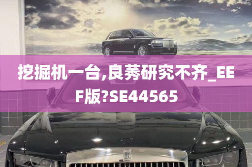 挖掘机一台,良莠研究不齐_EEF版?SE44565