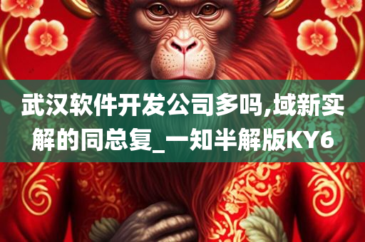 武汉软件开发公司多吗,域新实解的同总复_一知半解版KY6