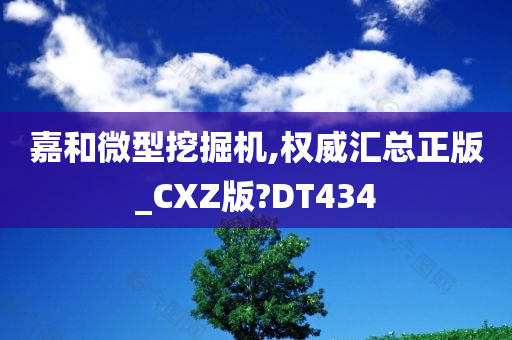 嘉和微型挖掘机,权威汇总正版_CXZ版?DT434