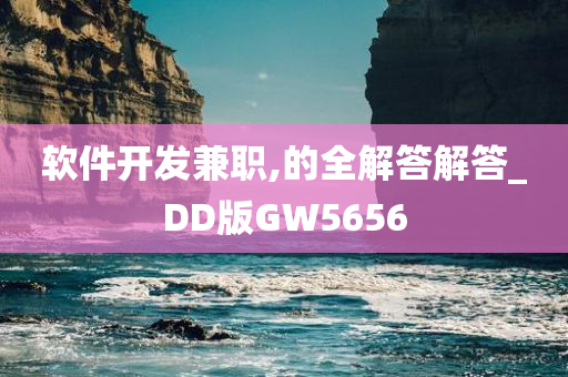 软件开发兼职,的全解答解答_DD版GW5656