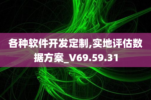 各种软件开发定制,实地评估数据方案_V69.59.31