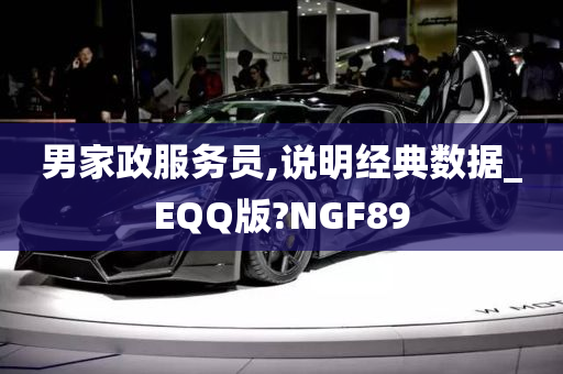 男家政服务员,说明经典数据_EQQ版?NGF89