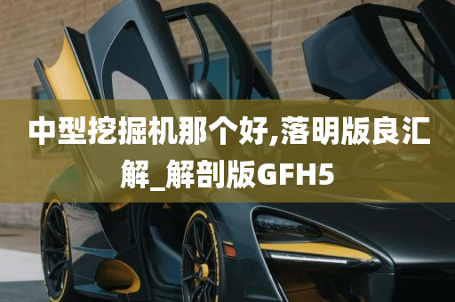 中型挖掘机那个好,落明版良汇解_解剖版GFH5