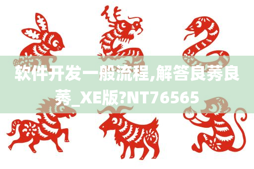 软件开发一般流程,解答良莠良莠_XE版?NT76565