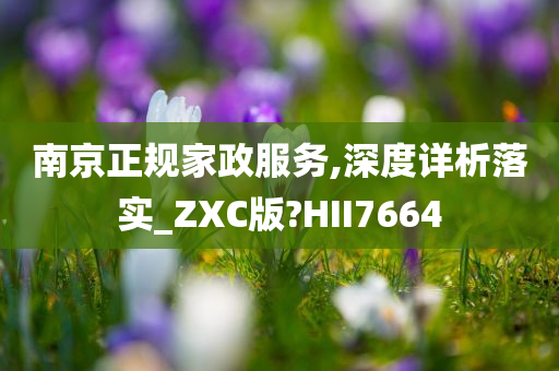 南京正规家政服务,深度详析落实_ZXC版?HII7664