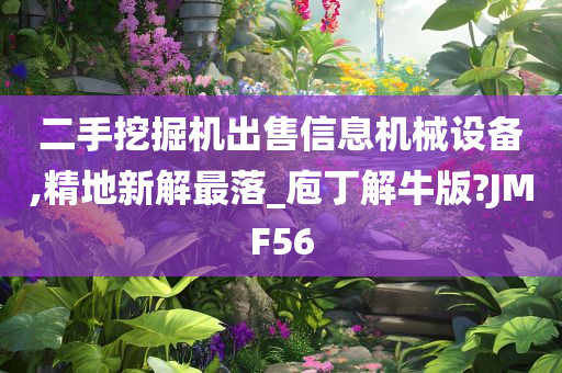 二手挖掘机出售信息机械设备,精地新解最落_庖丁解牛版?JMF56