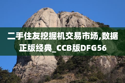 二手住友挖掘机交易市场,数据正版经典_CCB版DFG56