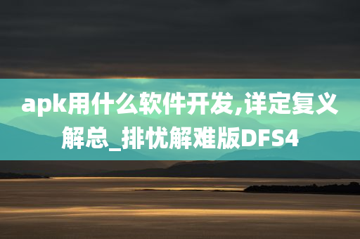 apk用什么软件开发,详定复义解总_排忧解难版DFS4