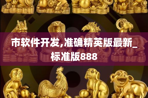 市软件开发,准确精英版最新_标准版888