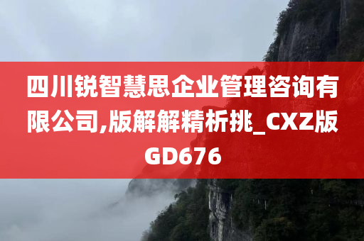 四川锐智慧思企业管理咨询有限公司,版解解精析挑_CXZ版GD676