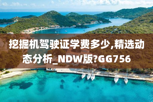 挖掘机驾驶证学费多少,精选动态分析_NDW版?GG756