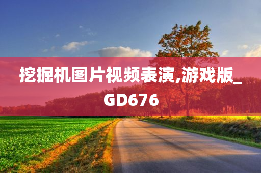 挖掘机图片视频表演,游戏版_GD676