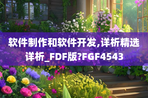 软件制作和软件开发,详析精选详析_FDF版?FGF4543