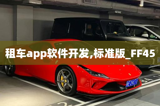 租车app软件开发,标准版_FF45