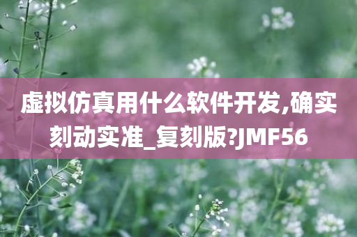 虚拟仿真用什么软件开发,确实刻动实准_复刻版?JMF56