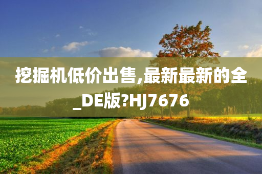 挖掘机低价出售,最新最新的全_DE版?HJ7676