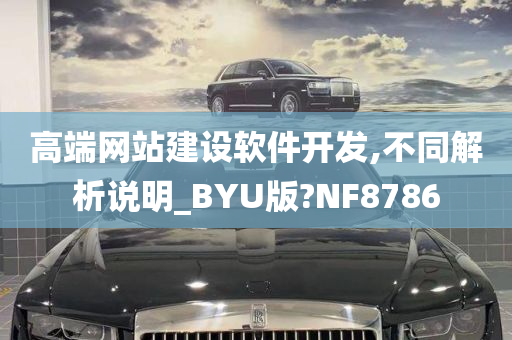 高端网站建设软件开发,不同解析说明_BYU版?NF8786