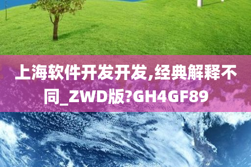 上海软件开发开发,经典解释不同_ZWD版?GH4GF89