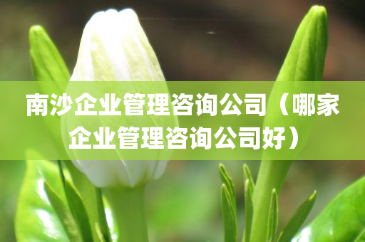 南沙企业管理咨询公司（哪家企业管理咨询公司好）