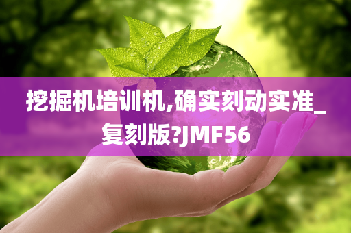 挖掘机培训机,确实刻动实准_复刻版?JMF56