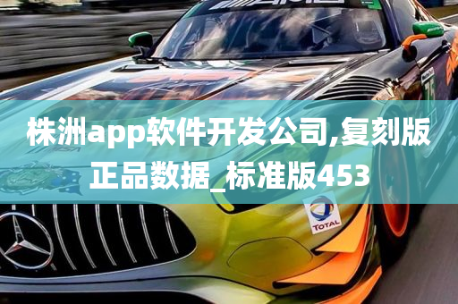 株洲app软件开发公司,复刻版正品数据_标准版453