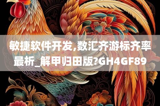 敏捷软件开发,数汇齐游标齐率最析_解甲归田版?GH4GF89