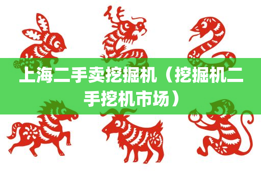 上海二手卖挖掘机（挖掘机二手挖机市场）