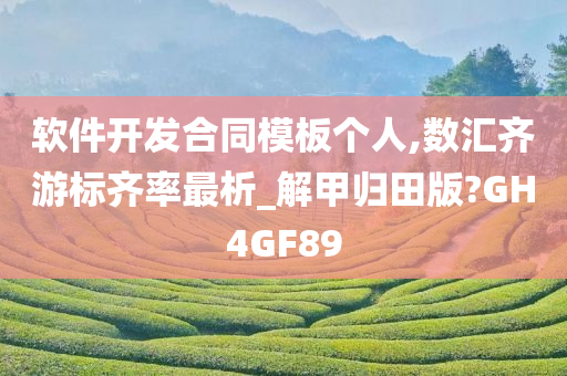 软件开发合同模板个人,数汇齐游标齐率最析_解甲归田版?GH4GF89