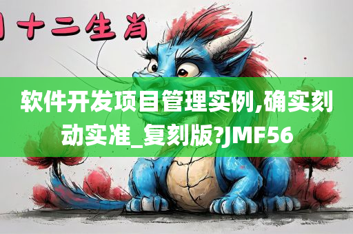 软件开发项目管理实例,确实刻动实准_复刻版?JMF56